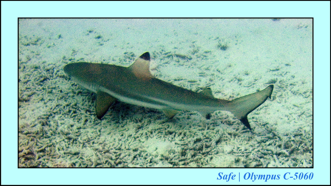 2008 - 07 - Leng Tengah - 094